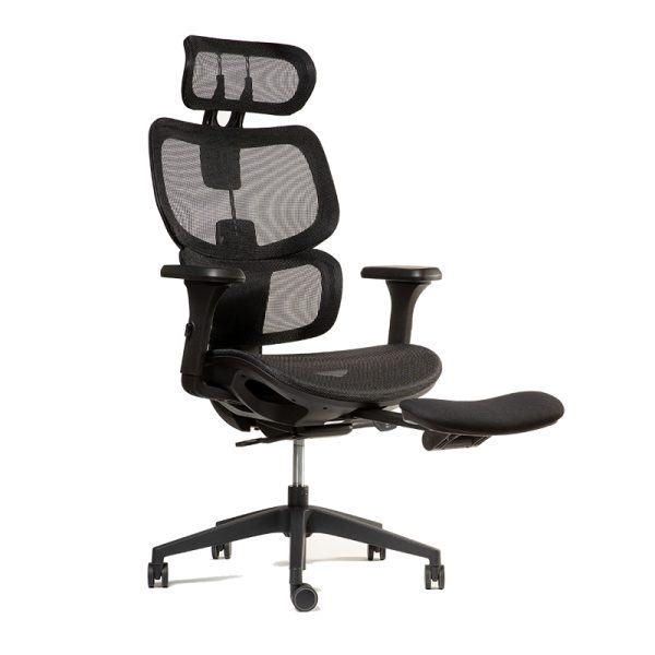 Ergoplus - Imagen 3