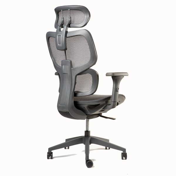 Ergoplus - Imagen 4