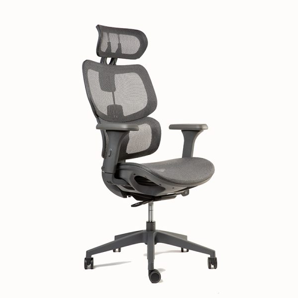 Ergoplus - Imagen 2