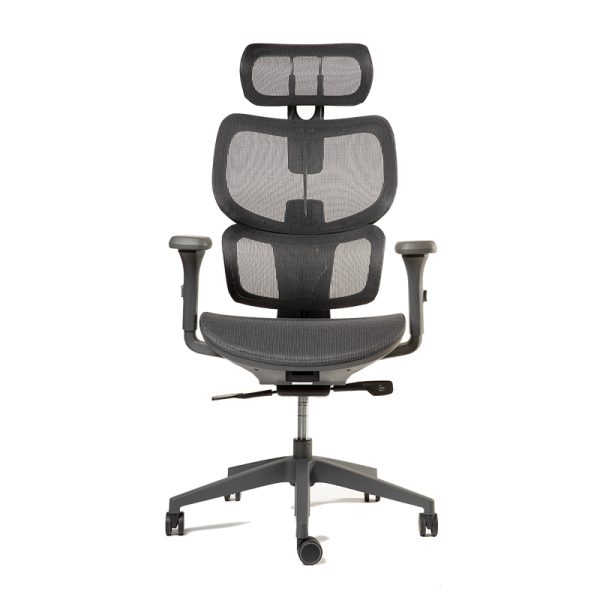 Ergoplus