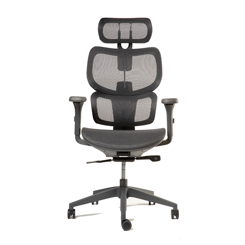 Ergoplus